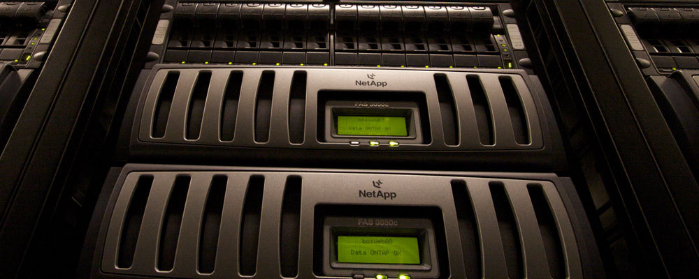 Professional web hosting
